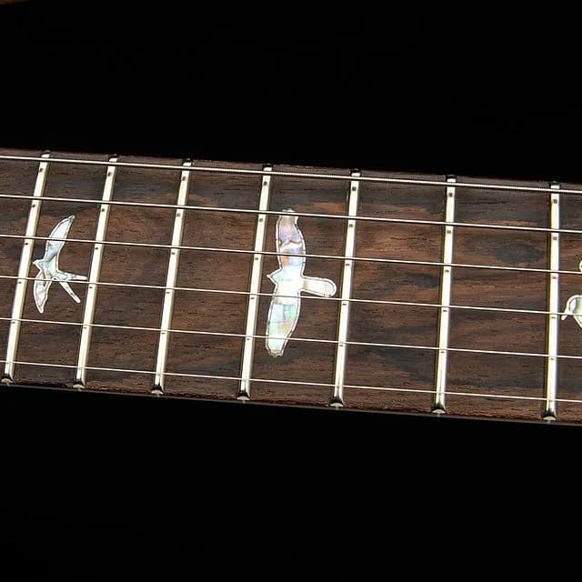 PRS Custom 24-08 Mango Top Limited Edition — photo 6