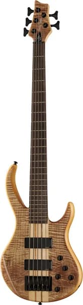 Harley Benton BZ-5000 II NT