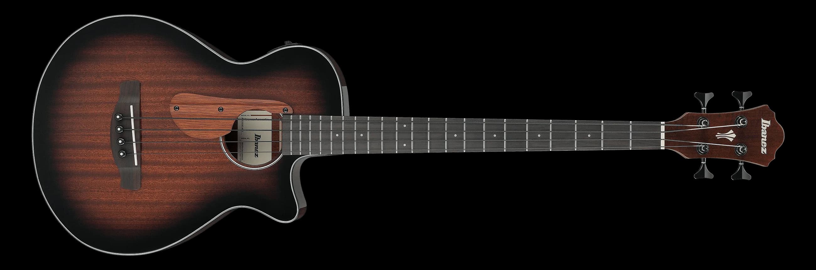 Ibanez AEGB24E