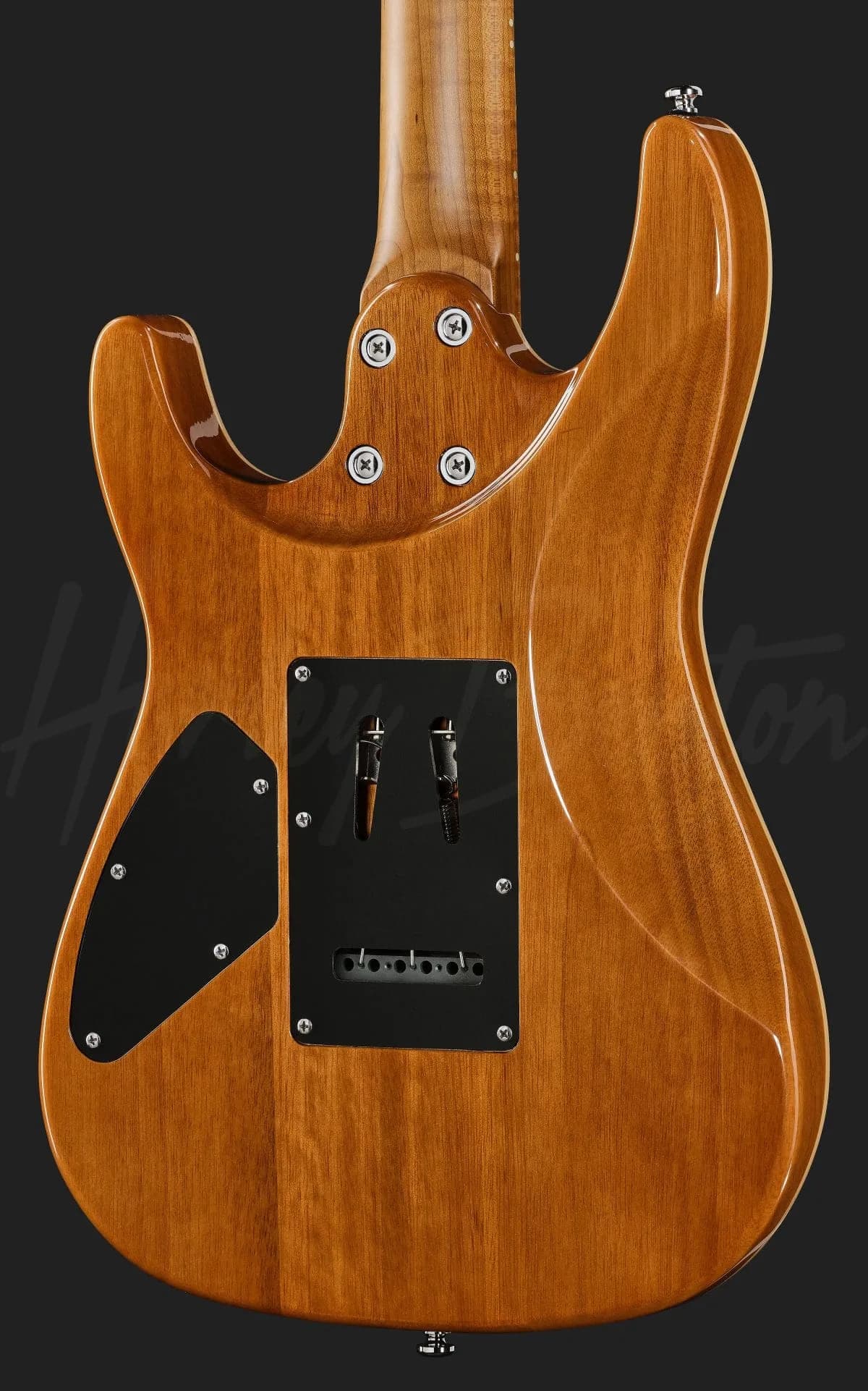 Harley Benton Fusion-IV HH MN FNT — photo 5