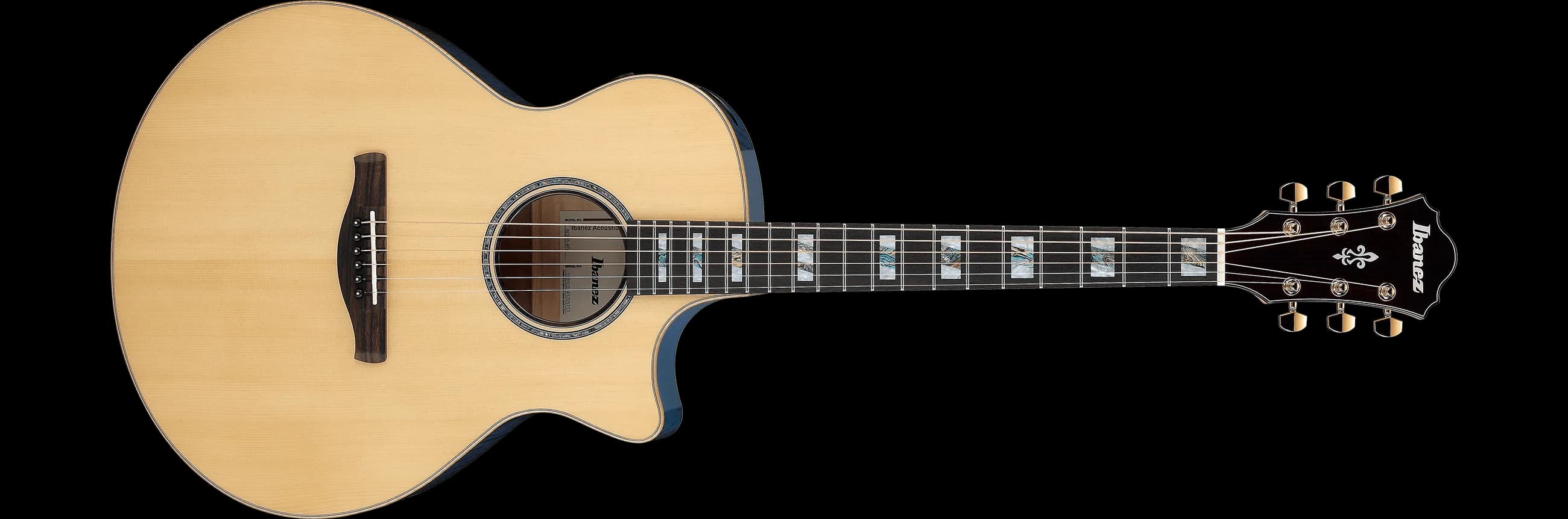 Ibanez AE390