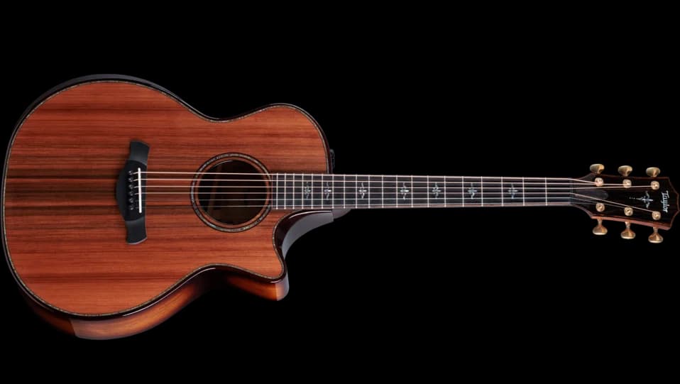 Taylor Builder's Edition 914ce