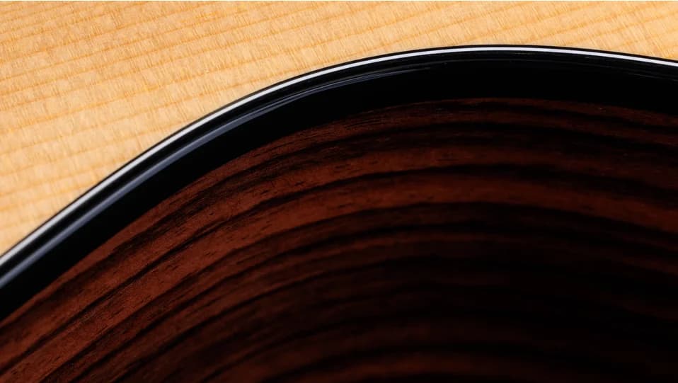 Taylor 212ce Plus — photo 8