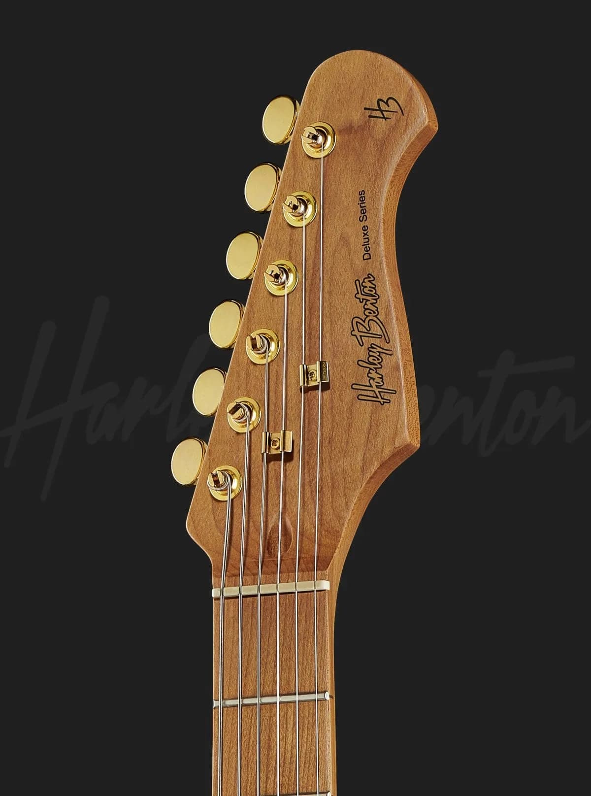 Harley Benton ST-62DLX VW — photo 6