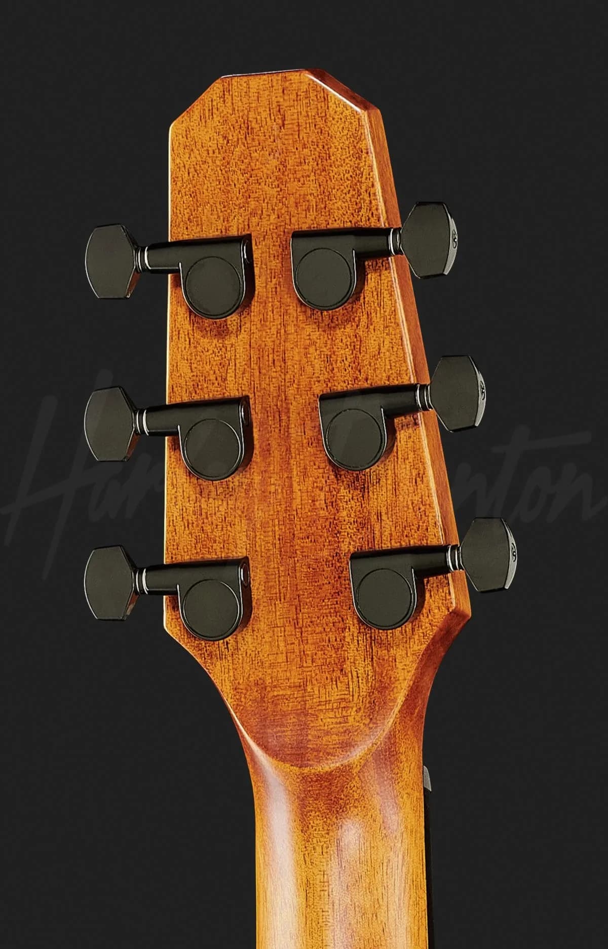 Harley Benton GS-Travel-E Mahogany — photo 7
