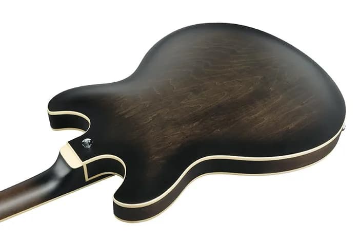 Ibanez AS53 — photo 6