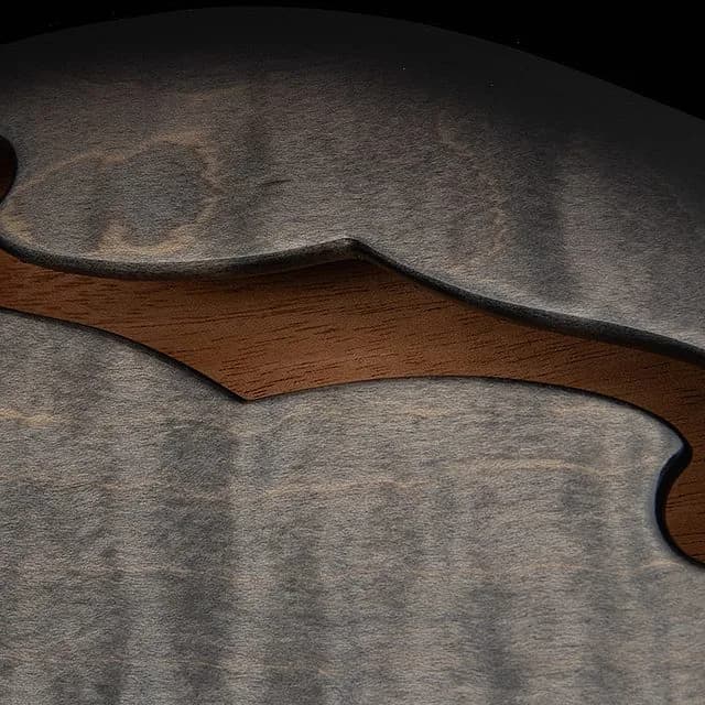 PRS S2 Special Semi-Hollow — photo 5