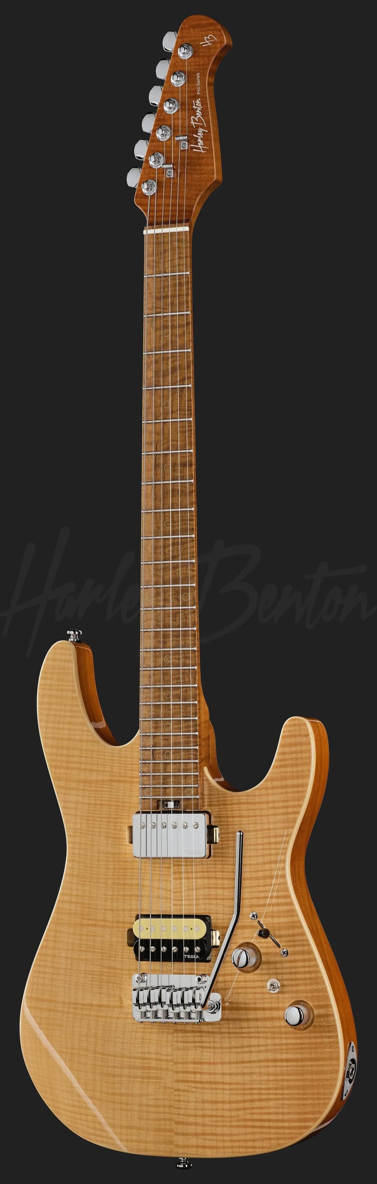 Harley Benton Fusion-IV HH MN FNT — photo 2