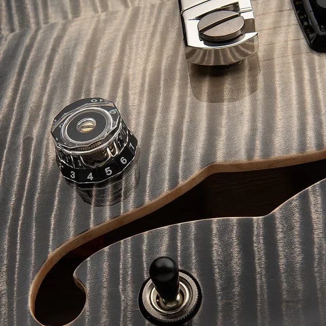 PRS Private Stock 30th Anniversary "Birds of a Feather" Hollowbody I — photo 4