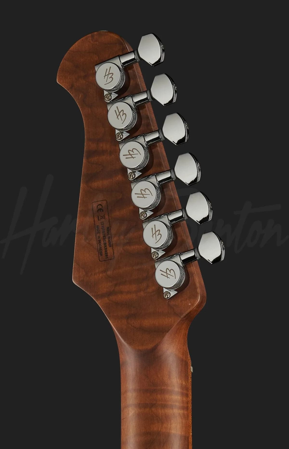 Harley Benton Fusion-III HSH Roasted FBB — photo 7
