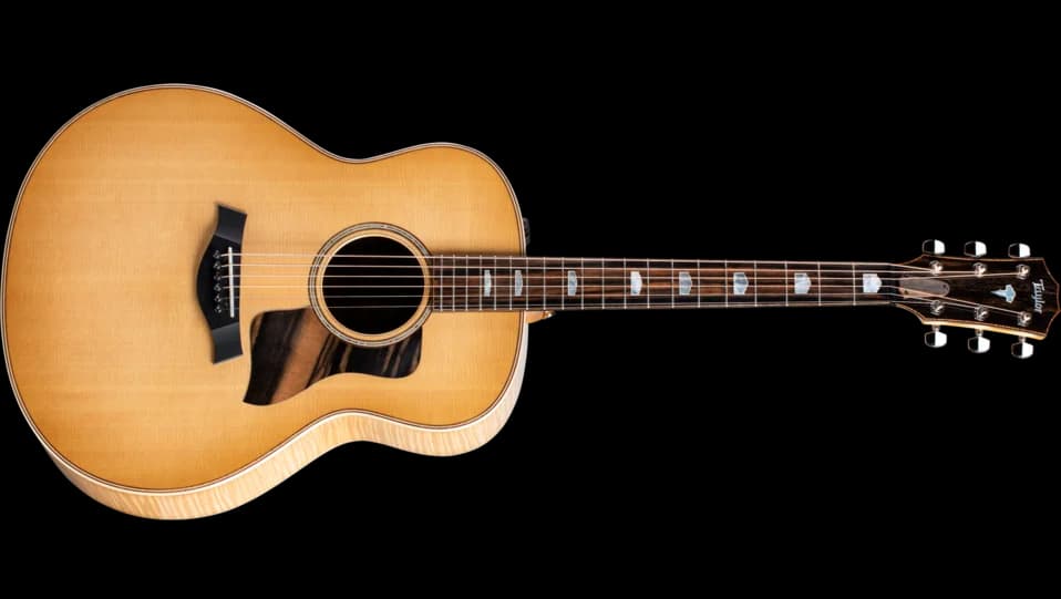 Taylor 618e