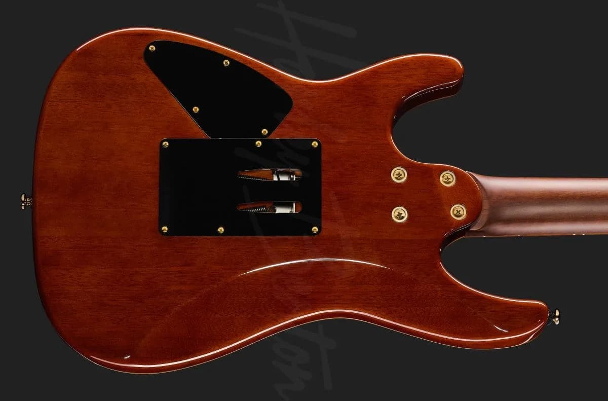 Harley Benton Guitar MAX Fusion Signature PF — photo 5