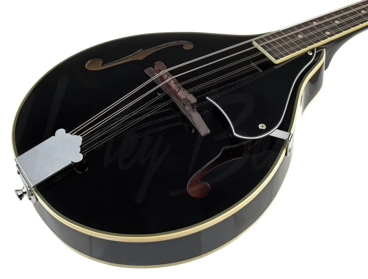 Harley Benton MA-50 BK — photo 5