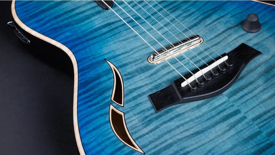 Taylor T5z Pro, Harbor Blue — photo 7