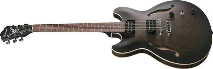 Ibanez AS53 — photo 8