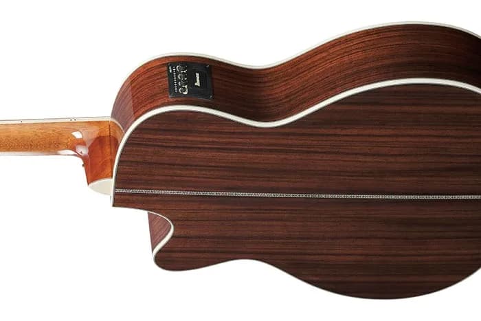 Ibanez AC391RCE — photo 3