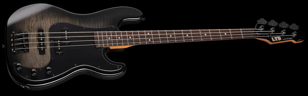ESP SURVEYOR-204DX Black Burst — photo 3