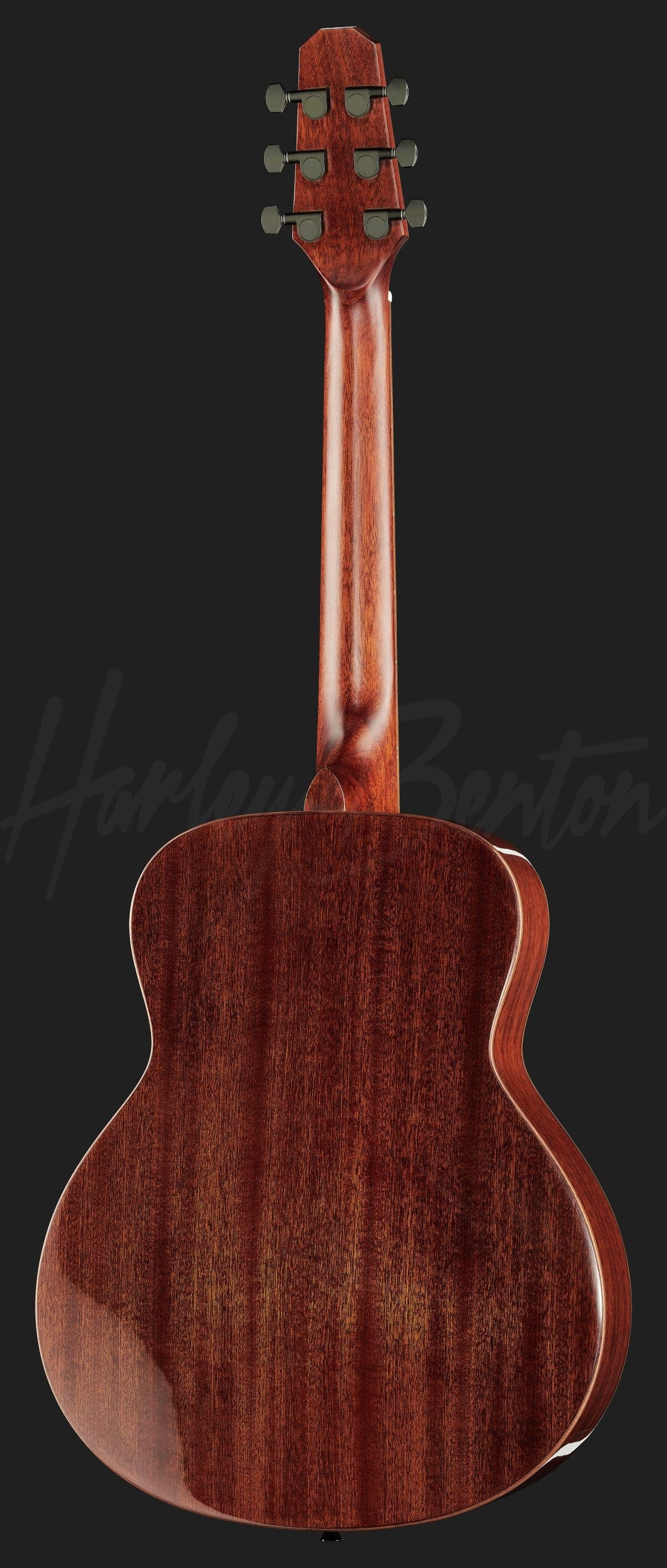 Harley Benton Custom Line CLGS-10S Travel — photo 3