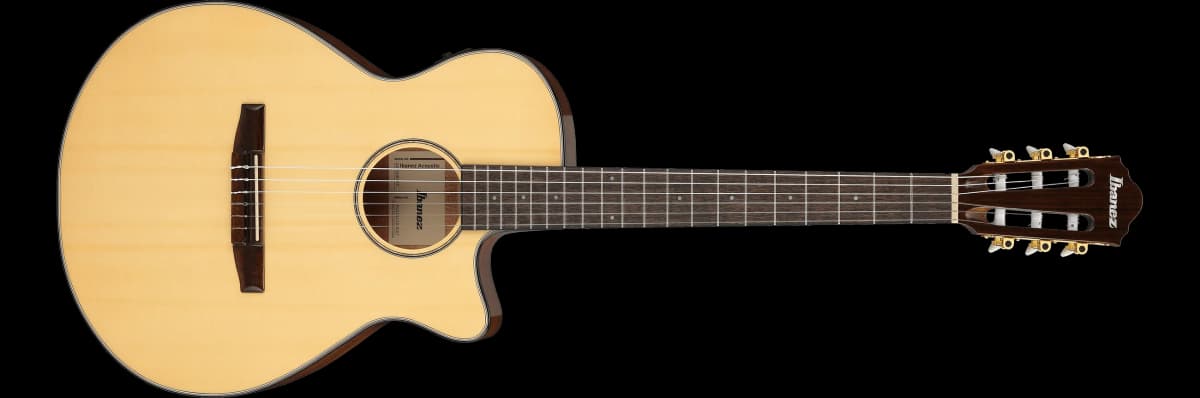 Ibanez AEG50N — photo 2
