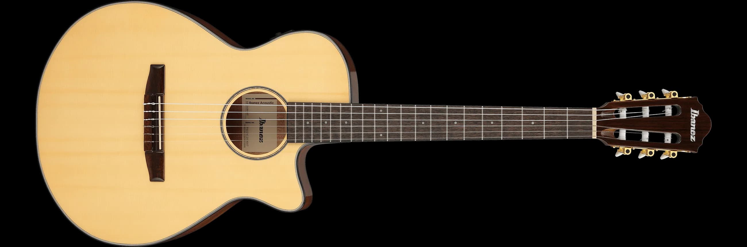 Ibanez AEG50N — photo 2