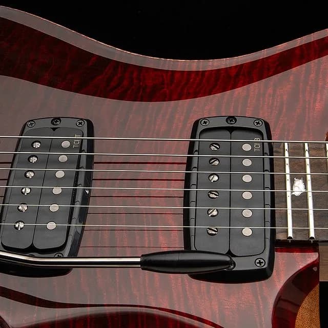 PRS Custom 24-08 Mango Top Limited Edition — photo 4