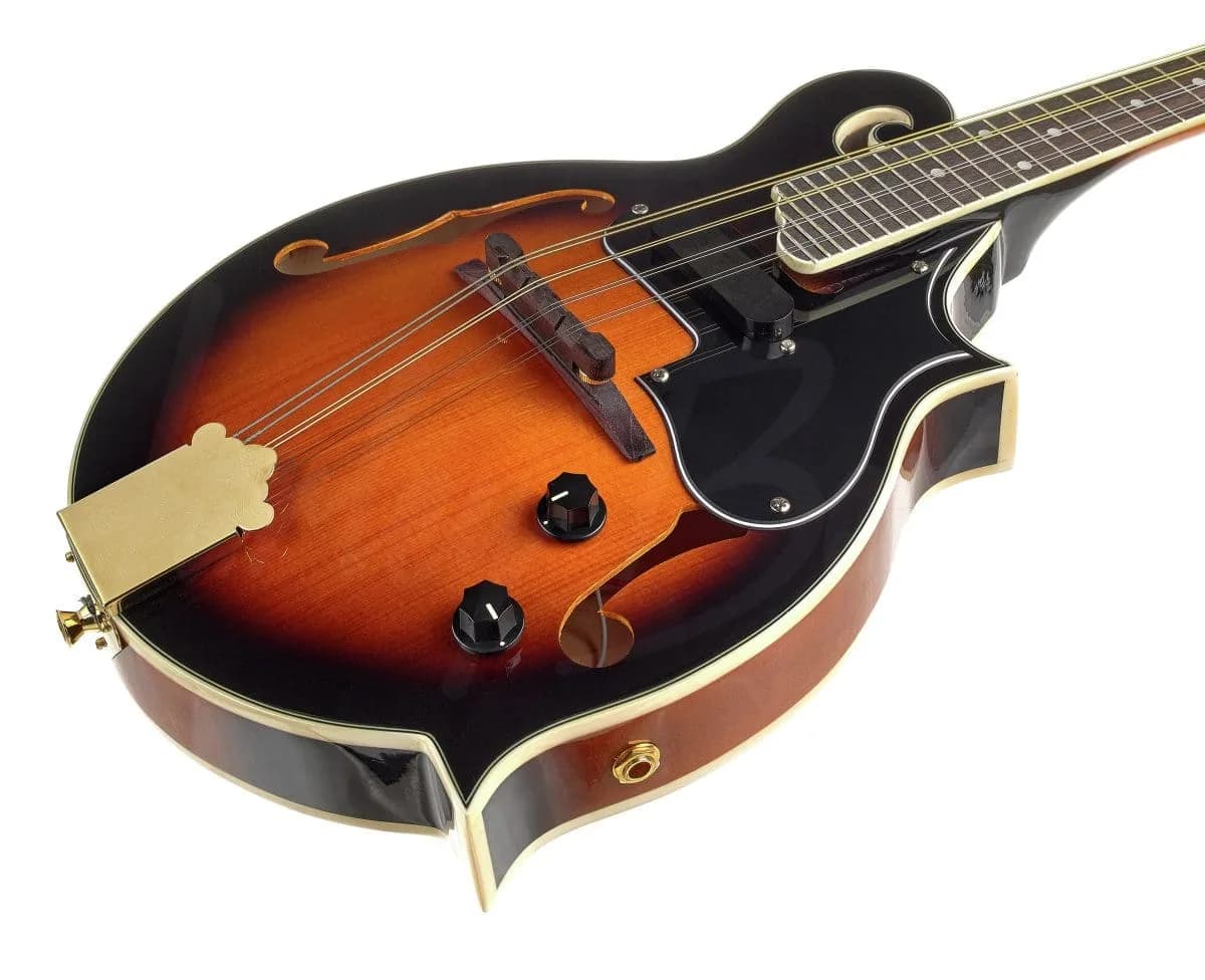 Harley Benton MA-100E VS — photo 5