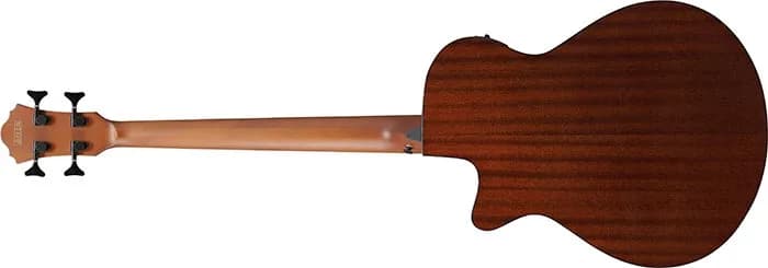 Ibanez AEGB25E — photo 5