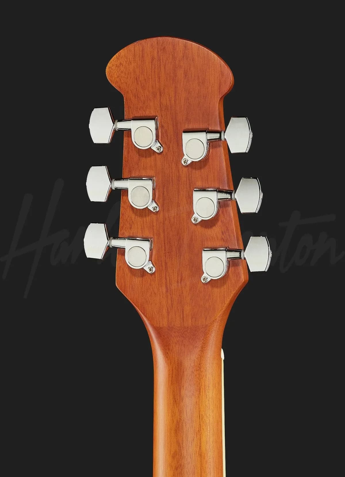 Harley Benton HBO-850BK — photo 7