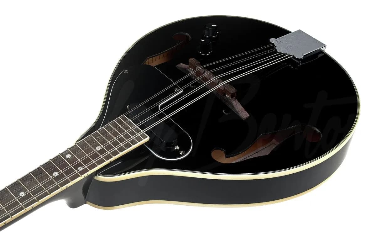 Harley Benton MA-50E BK — photo 6