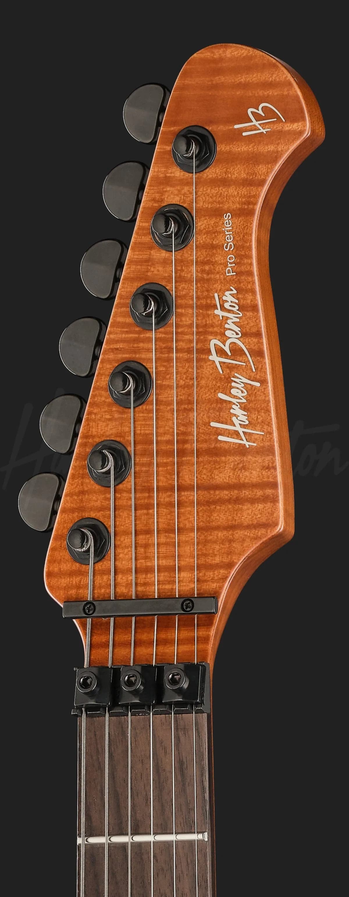 Harley Benton Fusion-IV HH RW FR WM — photo 6