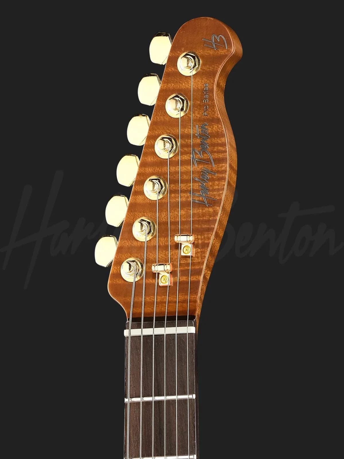 Harley Benton Fusion-T II HH RW SGD — photo 6