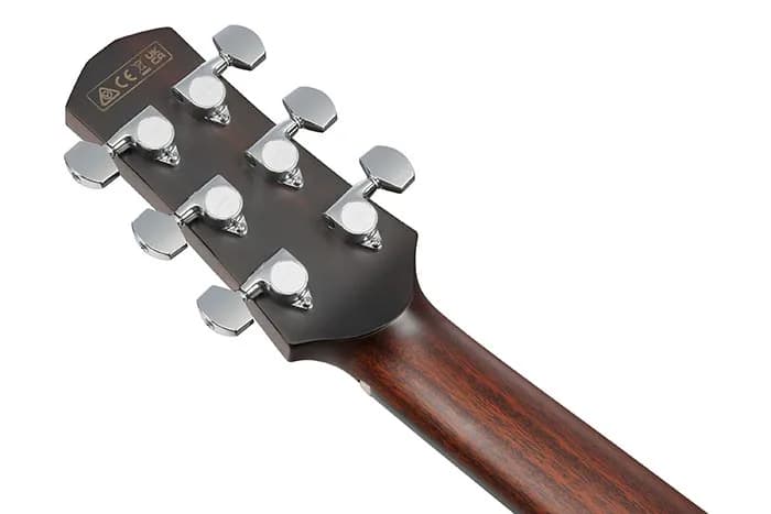 Ibanez AAM740E — photo 2