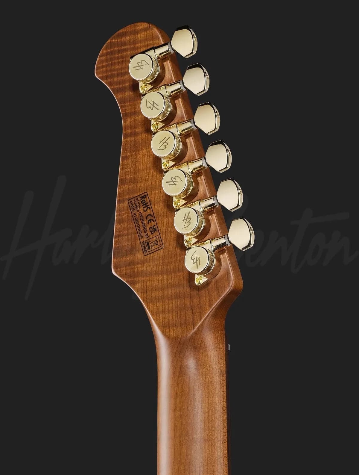 Harley Benton Fusion-IV HH RW FBB — photo 7