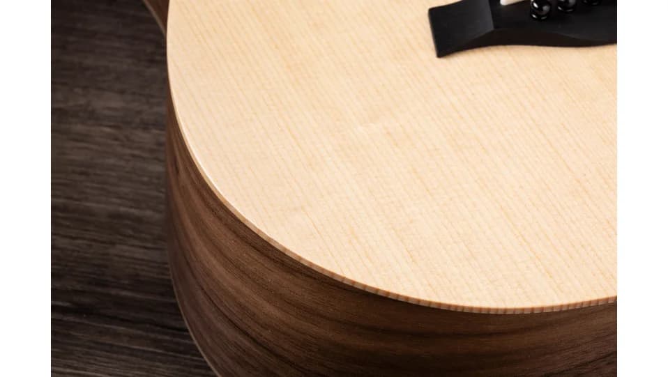 Taylor BT1e — photo 5