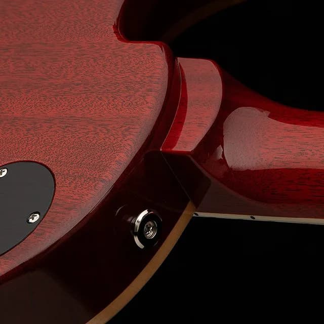 PRS 40th Anniversary McCarty SC56 Limited Edition — photo 7
