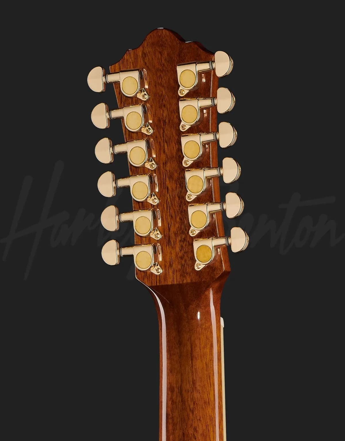 Harley Benton Custom Line CLJ-412E LH NT — photo 7