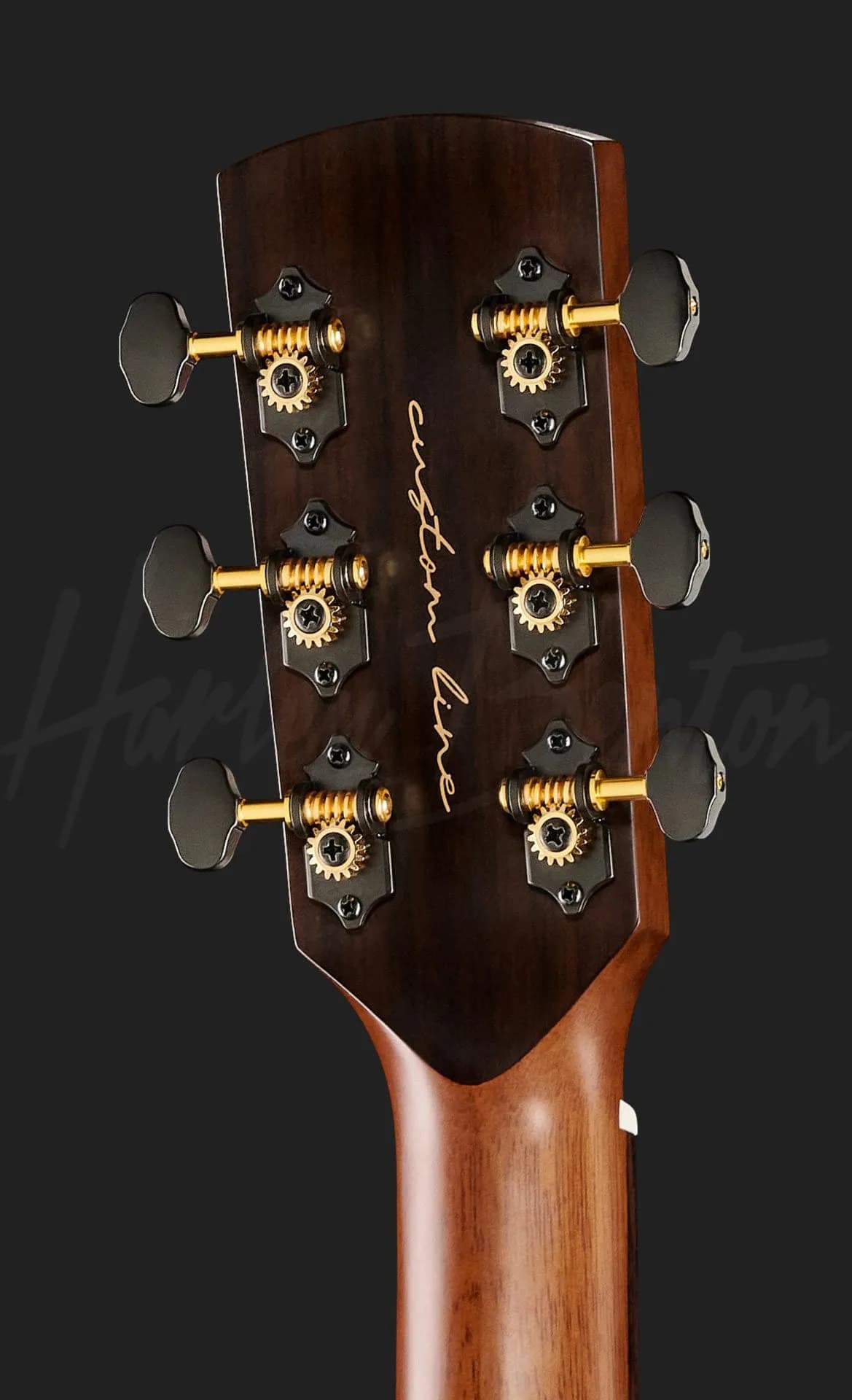 Harley Benton CLG-70ASR CE SBK — photo 7