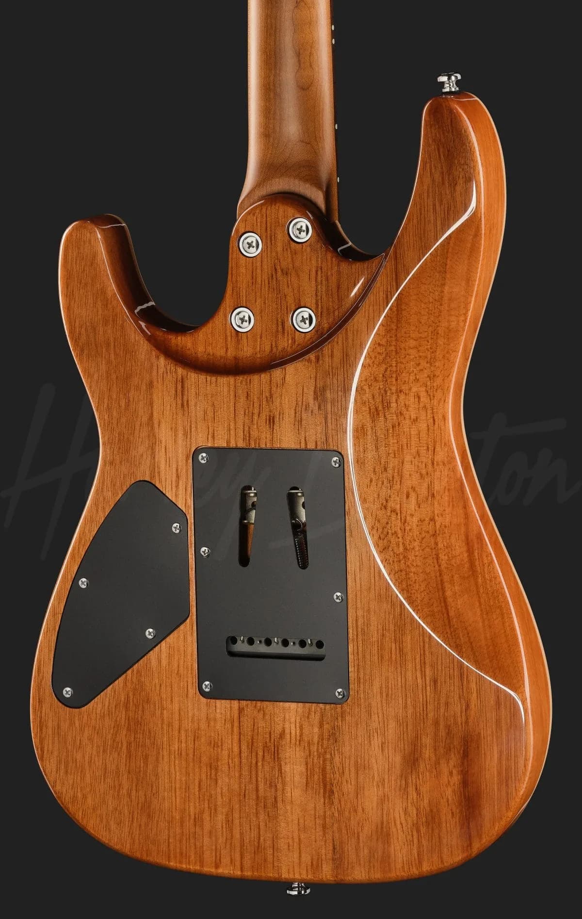 Harley Benton Fusion-IV HH RW QRG — photo 5