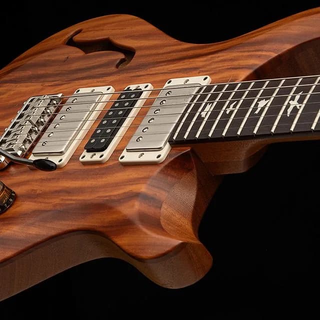 PRS S2 Special Semi-Hollow Reclaimed Limited Edition — photo 5