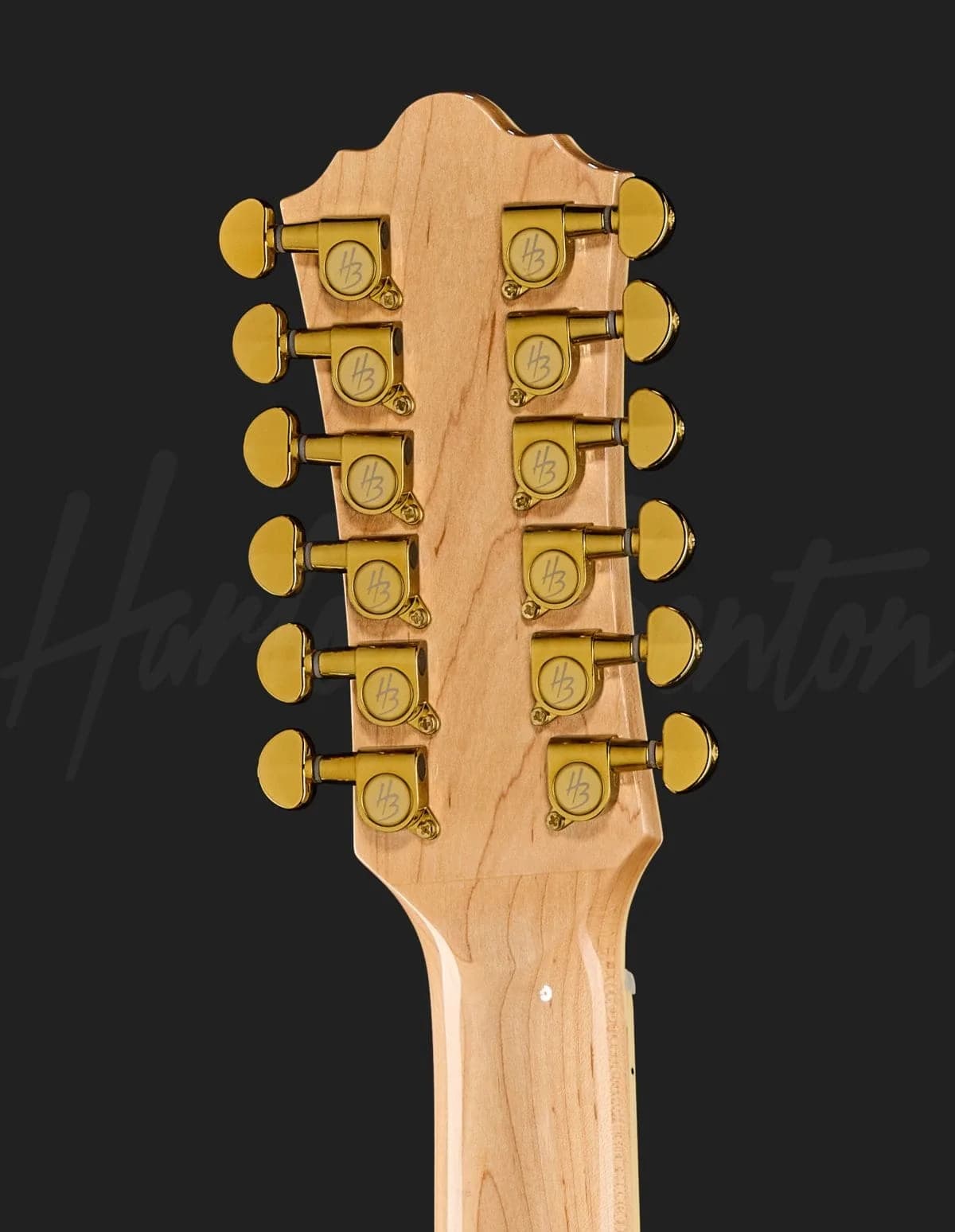 Harley Benton Custom Line King-12 CE NT — photo 7