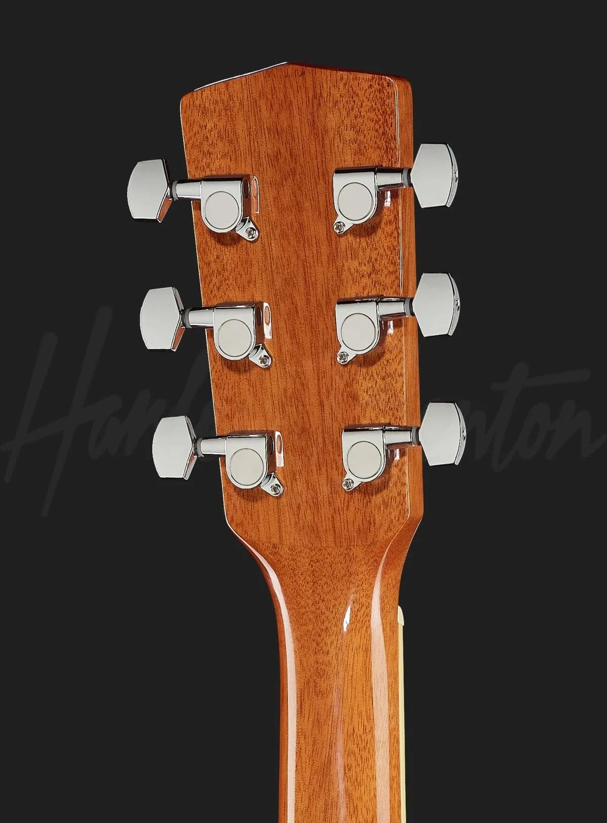 Harley Benton D-120 VS — photo 7