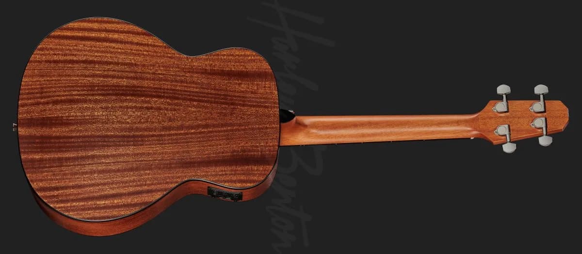 Harley Benton GS-Travel-E Bass Spruce — photo 3