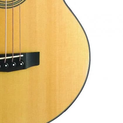 Cort Acoustic Bass SJB5F — photo 3