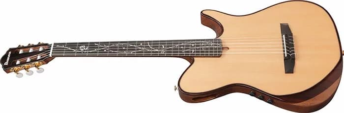 Ibanez TOD100N — photo 4