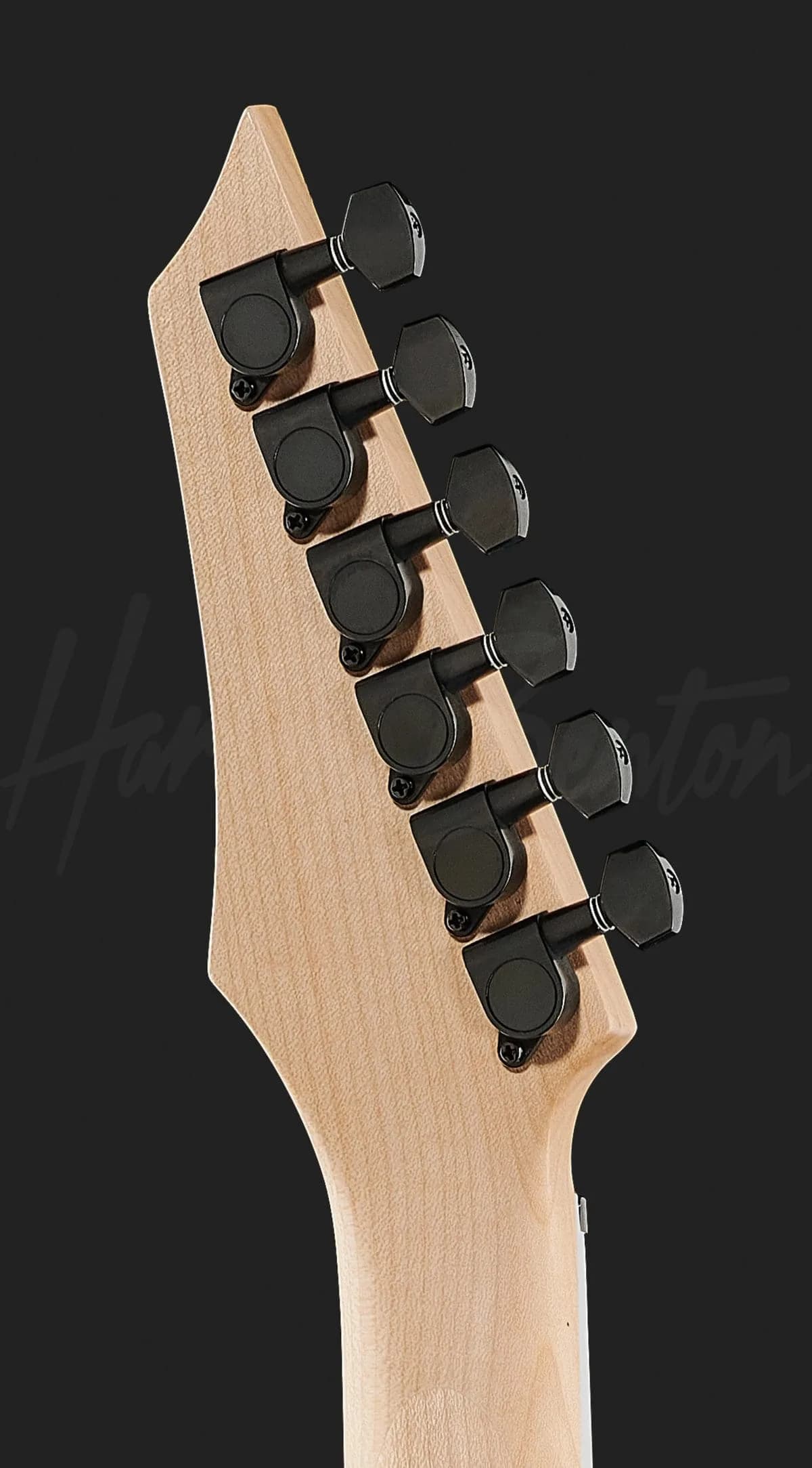 Harley Benton R-446 Graphite Metallic — photo 7