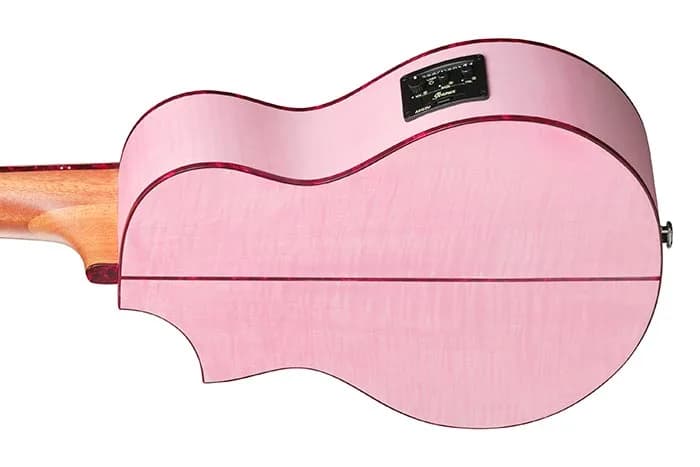 Ibanez EWP17M2E — photo 3