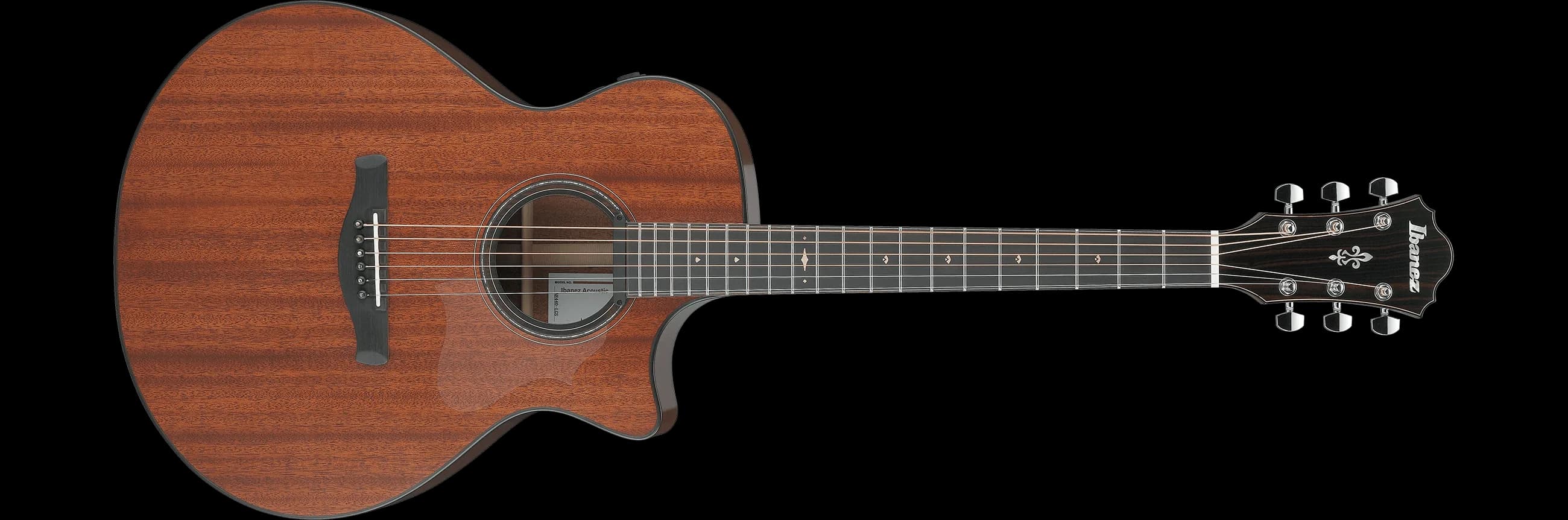 Ibanez AE440