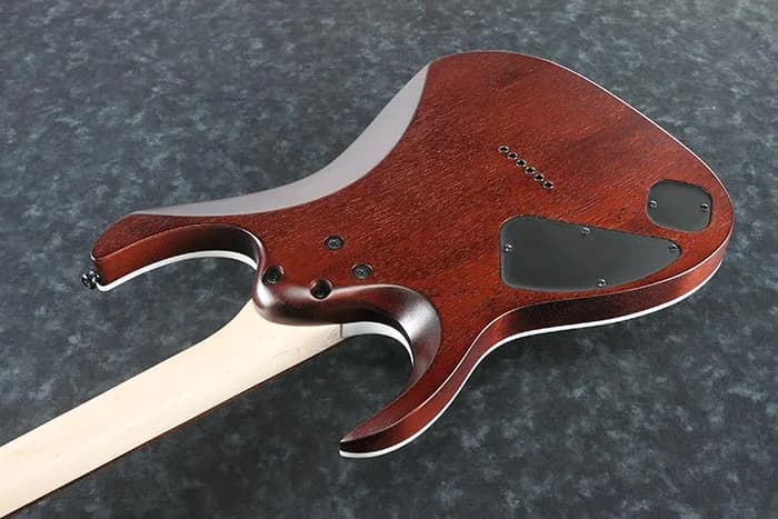 Ibanez RGA42FM — photo 8