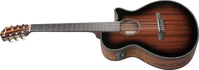 Ibanez AEG74N — photo 4