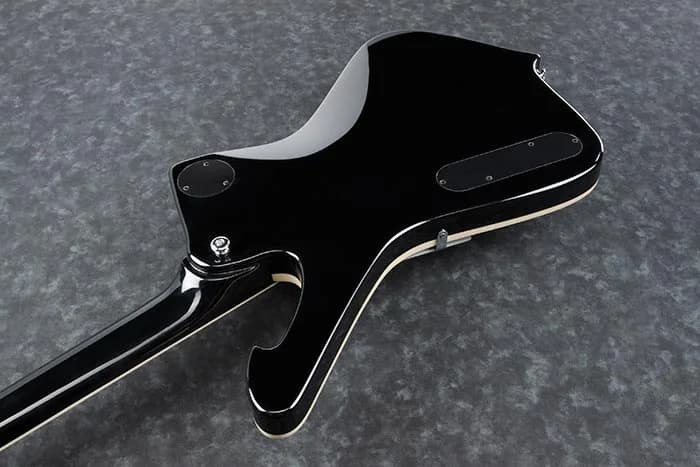 Ibanez PS120 — photo 3